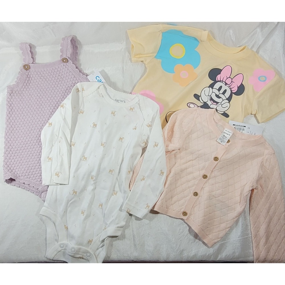 LOT: 19 Pieces Baby Girl Brand Name Clothes - Carters + - New - Sz 9-24 Months - Picture 4 of 6